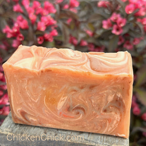 Orange Spice Soap