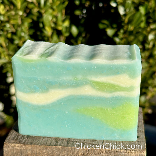 Driftwood & Sea Salt Soap