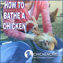 Booty Bath™ Chicken Shampoo Bars